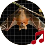 Logo of Bat Sounds android Application 